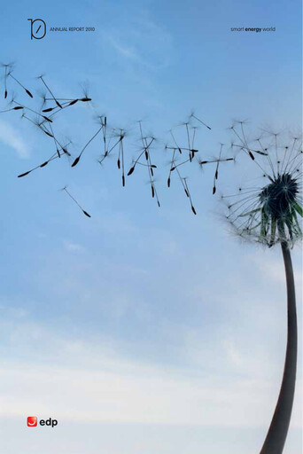 Miniature EDP Group Rapport annuel 2010