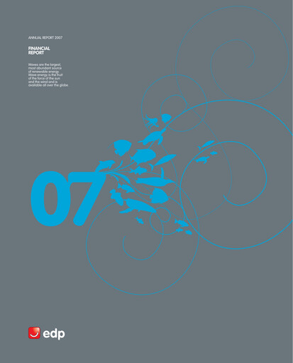 Thumbnail EDP Group Financial Statement 2007