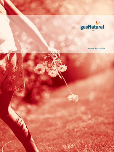 Thumbnail Naturgy Annual Report 2004