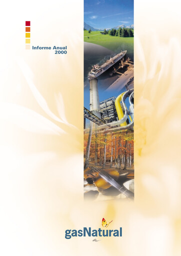 Thumbnail Naturgy Annual Report 2000