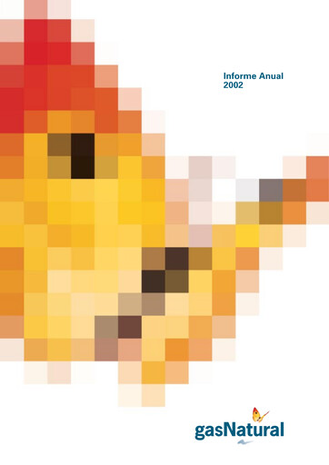 Thumbnail Naturgy Annual Report 2002