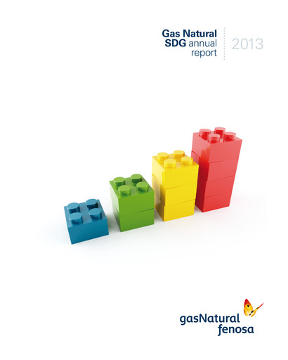 Thumbnail Naturgy Financial Statement 2013