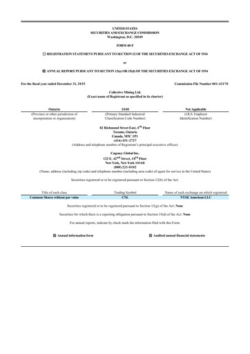 Thumbnail Collective Mining Annual Report 2025