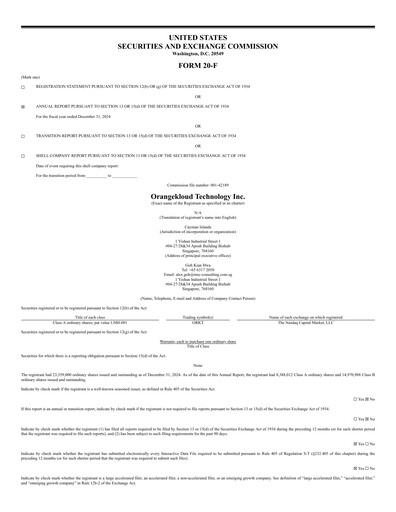 Thumbnail Orangekloud Technology Annual Report 2024