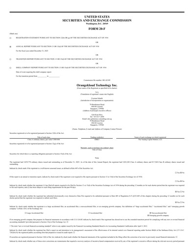 Thumbnail Orangekloud Technology Annual Report 2025
