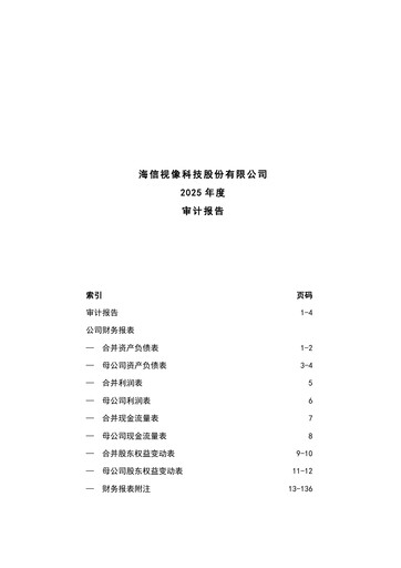 Thumbnail Hisense Visual Technology Financial Statement 2025