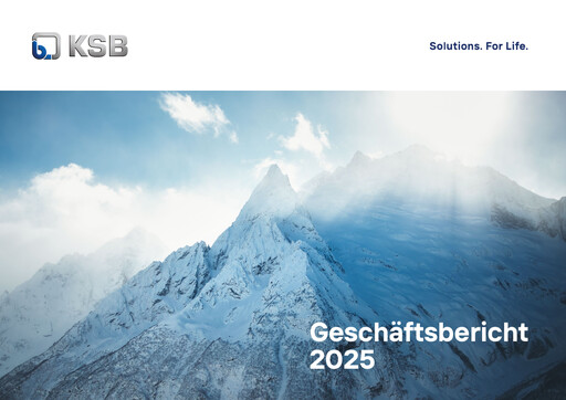 Miniature KSB ltd Rapport annuel 2025