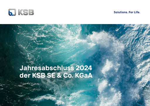 Thumbnail KSB ltd Financial Statement 2024