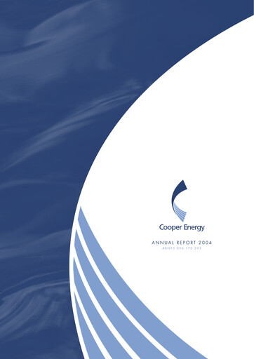 Thumbnail Amplitude Energy Annual Report 2004