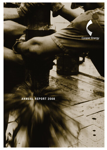 Thumbnail Amplitude Energy Annual Report 2008