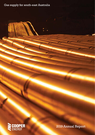 Thumbnail Amplitude Energy Annual Report 2019