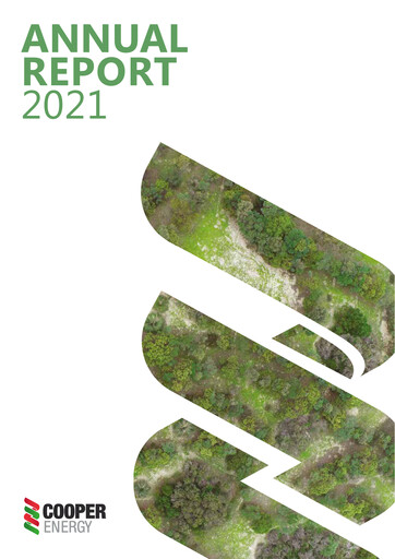 Thumbnail Amplitude Energy Annual Report 2021