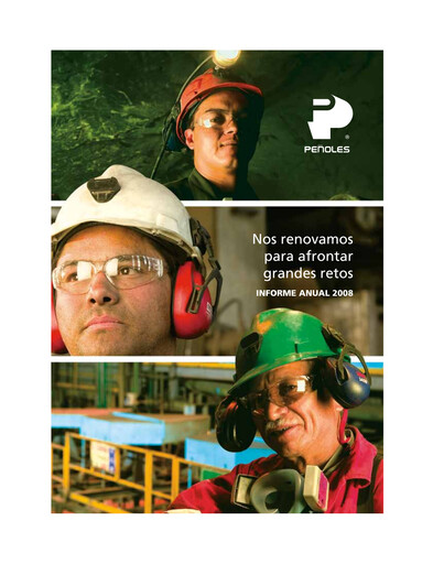 Thumbnail Industrias Peñoles Annual Report 2008