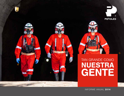Thumbnail Industrias Peñoles Annual Report 2014