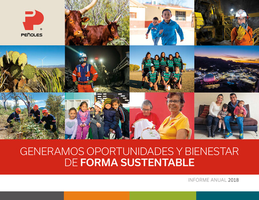 Thumbnail Industrias Peñoles Annual Report 2018