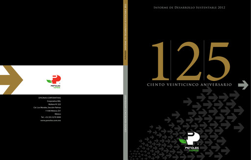 Thumbnail Industrias Peñoles Sustainability Report 2012