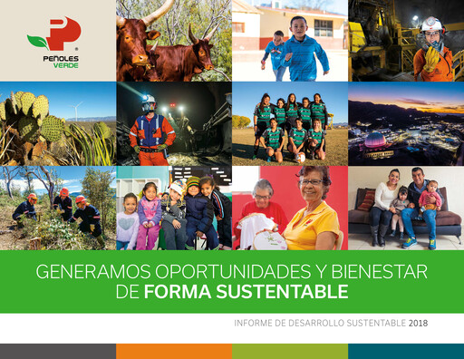 Thumbnail Industrias Peñoles Sustainability Report 2018