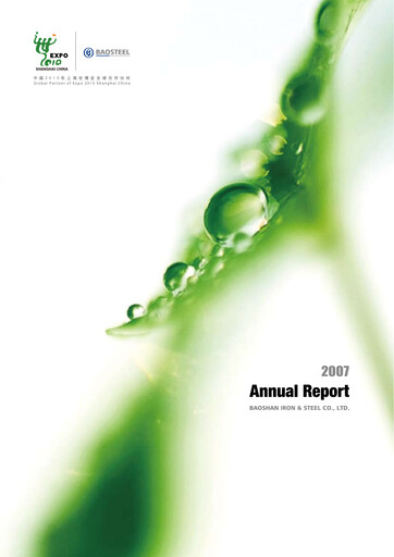 Thumbnail Baosteel Annual Report 2007