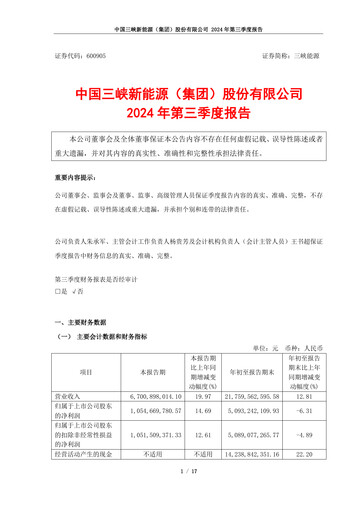 Thumbnail China Three Gorges Renewables Quarterly Report 2024-q3