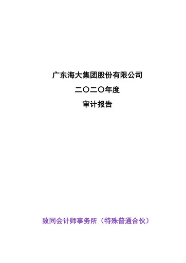 Miniature Guangdong HAID Group Bilan financier 2020