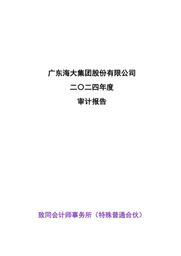 Miniature Guangdong HAID Group Bilan financier 2024
