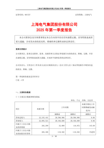 Thumbnail Shanghai Electric Group Quarterly Report 2025-q1