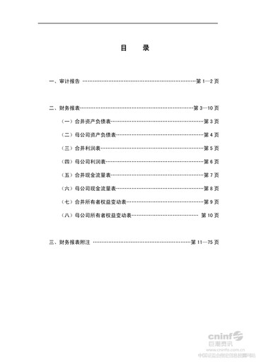 Thumbnail Rongsheng Petrochemical Financial Statement 2013
