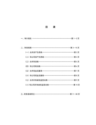 Thumbnail Rongsheng Petrochemical Financial Statement 2015