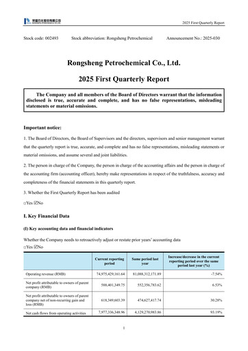 Miniature Rongsheng Petrochemical Rapport trimestriel 2025-q1