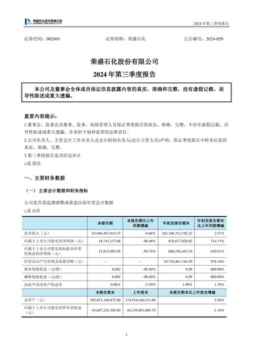 Miniature Rongsheng Petrochemical Rapport trimestriel 2024-q3