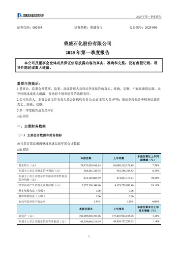 Miniature Rongsheng Petrochemical Rapport trimestriel 2025-q1
