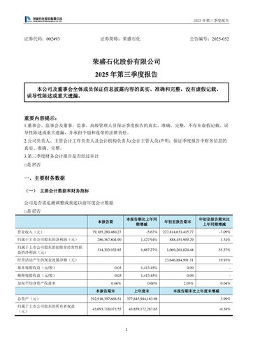 Miniature Rongsheng Petrochemical Rapport trimestriel 2025-q3