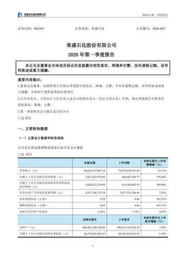 Miniature Rongsheng Petrochemical Rapport trimestriel 2026-q1