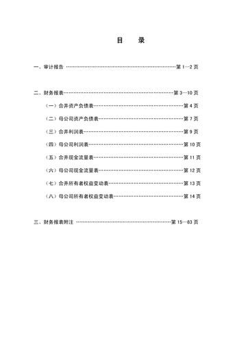 Thumbnail Huadong Medicine (HD Medicine) Financial Statement 2009