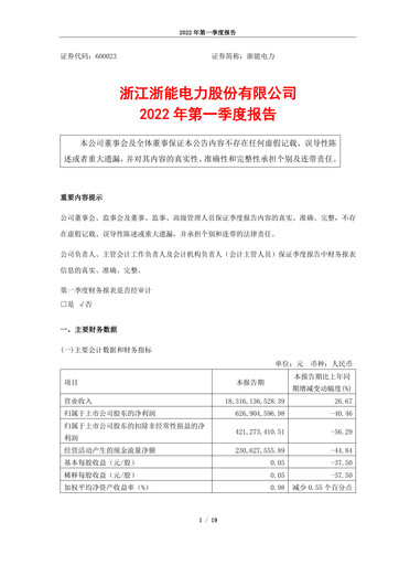 Thumbnail Zhejiang Zheneng Electric Quarterly Report 2022-q1