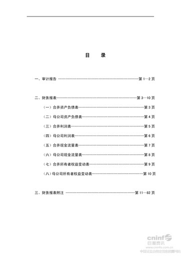 Thumbnail Zhejiang NHU Co., Ltd. Financial Statement 2013