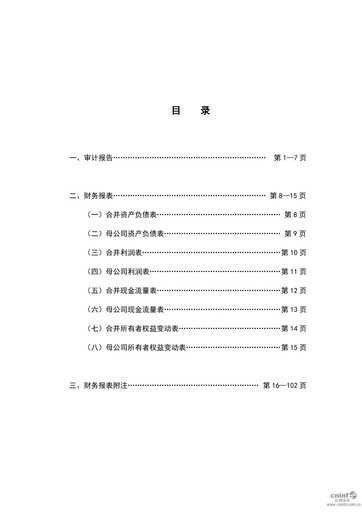 Thumbnail Zhejiang NHU Co., Ltd. Financial Statement 2019