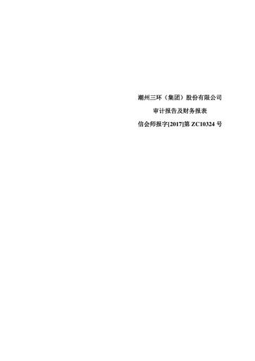 Thumbnail Chaozhou Three-Circle Financial Statement 2016