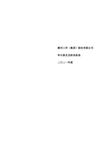 Thumbnail Chaozhou Three-Circle Financial Statement 2021