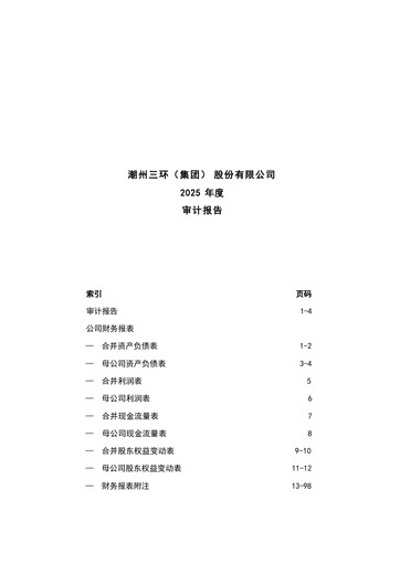 Thumbnail Chaozhou Three-Circle Financial Statement 2025