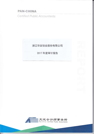 Thumbnail Zhejiang Huayou Cobalt Financial Statement 2017