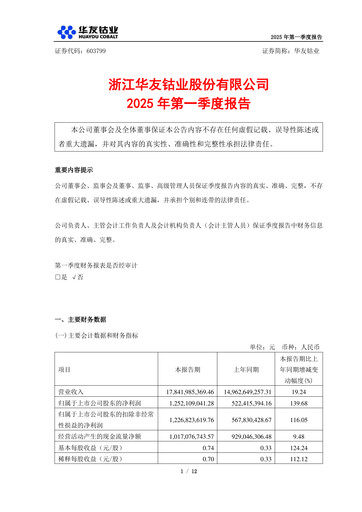 Thumbnail Zhejiang Huayou Cobalt Quarterly Report 2025-q1