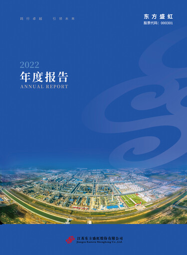 Thumbnail Jiangsu Eastern Shenghong Annual Report 2022