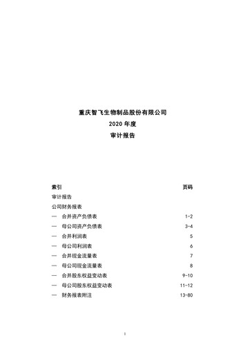 Thumbnail Zhifei Biological Products Financial Statement 2020