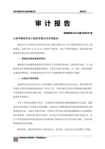 Thumbnail Hualu Hengsheng Financial Statement 2013