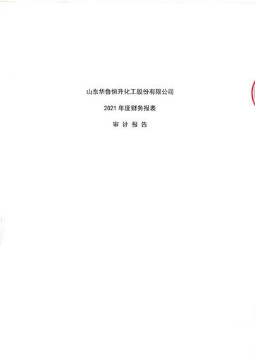 Thumbnail Hualu Hengsheng Financial Statement 2021