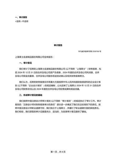 Thumbnail Shanghai RAAS Blood Products Financial Statement 2024