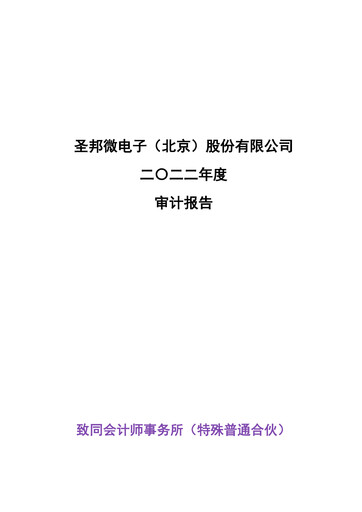Thumbnail SG Micro Financial Statement 2022