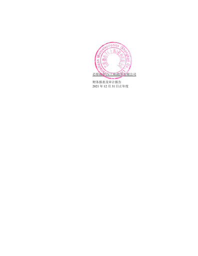 Thumbnail VeriSilicon Microelectronics Financial Statement 2021