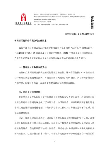 Thumbnail Yuntianhua Financial Statement 2013